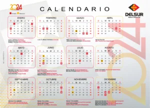 Calendario DELSUR